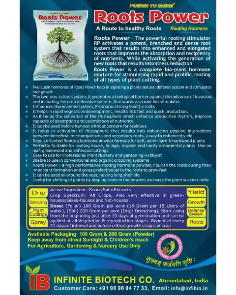 INFINITE COMBO (MAGIC ROOTS + ROOTS POWER)