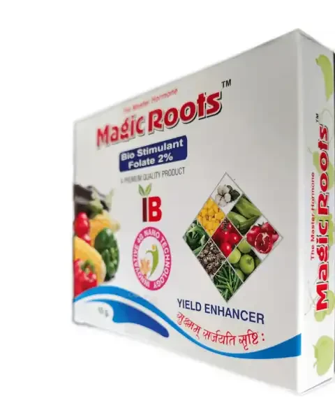 INFINITE COMBO (MAGIC ROOTS + ROOTS POWER)