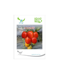 IRIS HYBRID F1 BALASAHEB TOMATO
