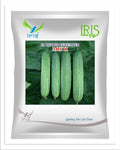 Iris Hybrid F1 CUCUMBER  MISTI
