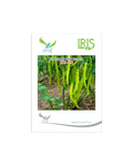 IRIS HYBRID F1 IHS-250 HOT PEPPER