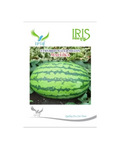 IRIS HYBRID F1 MALLIKA WATERMELON