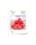 IRIS HYBRID F1 SARANG TOMATO