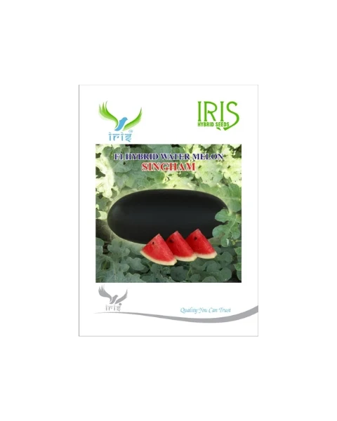 IRIS HYBRID F1 SINGHAM WATERMELON ICE BOX SEGMENT