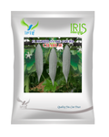 Iris Hybrid F1 Snake Gourd Charlie Snake Gourd Seeds