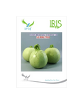 IRIS HYBRID F1 SUPREMO SQUASH ROUND