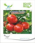 IRIS HYBRID F1 TOMATO MEGHRAJ-96
