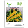 IRIS HYBRID VEGETABLE SEEDS F1 HYBRID SWEET CORN HONEYMAX