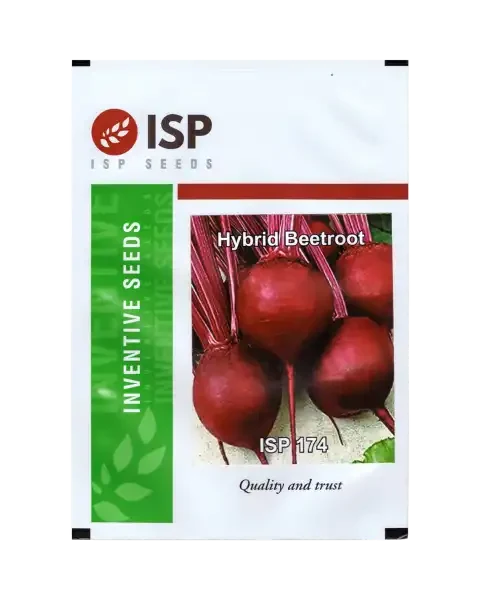ISP174 HYBRID BEETROOT