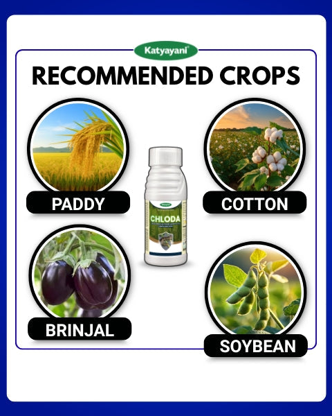 Katyayani Chloda Insecticide (Chlorantraniliprole 9.30% + Lambda-Cyhalothrin 4.60% ZC)