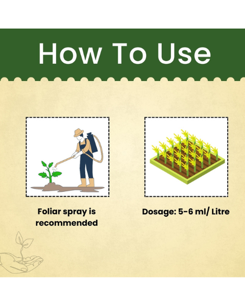 Katyayani Dr. Neem Pure Oil Insecticide 3000 PPM