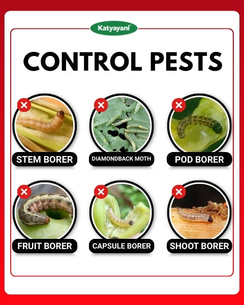 Katyayani Fluben (Flubendiamide 39.35% SC) – Broad-Spectrum Pest Control