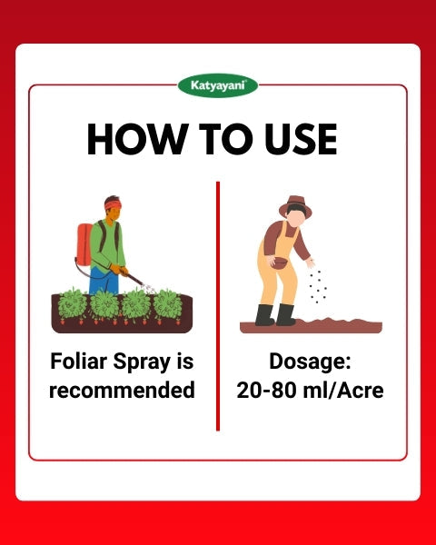 Katyayani Fluben (Flubendiamide 39.35% SC) – Broad-Spectrum Pest Control