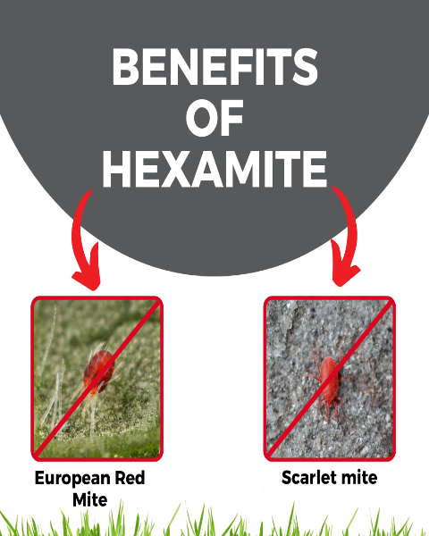 Katyayani Hexamite (Hexythiazox 5.45% EC) Insecticides