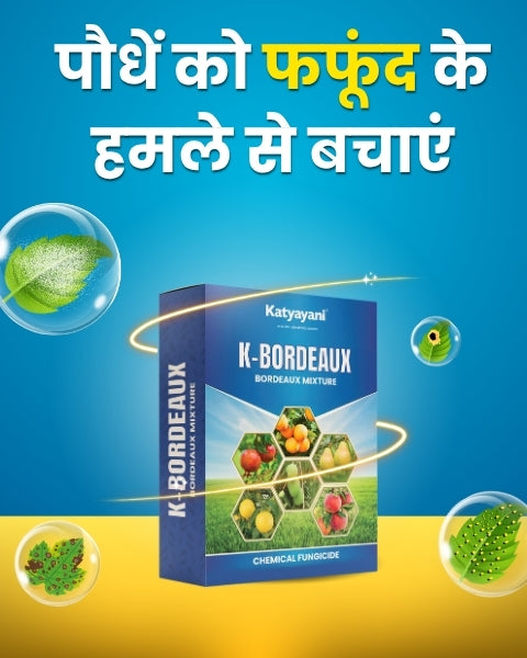 Katyayani K Bordeaux Mixture Fungicide (Copper: 20% w/w, Calcium: 5% w/w)