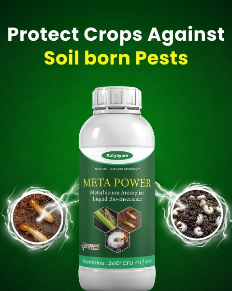 Katyayani Meta Power (Metarhizium Anisopliae) Bio Insecticides