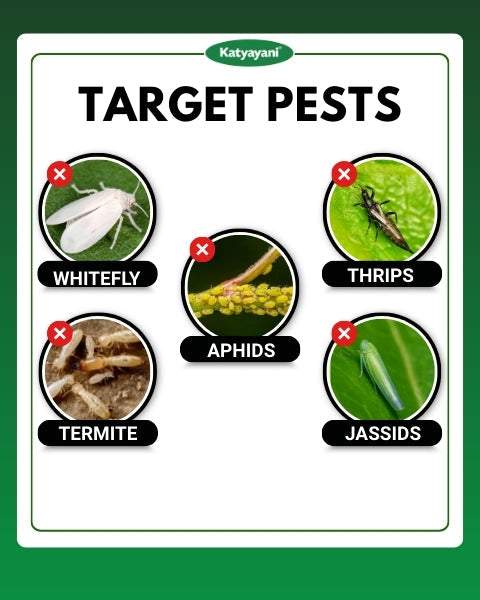 Katyayani Thioxam Super + (70% thiamethoxam) Insecticides