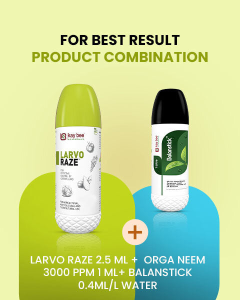 Kay Bee Larvo Raze and Balanstick bottles displayed together with a recommended product combination dosage text.