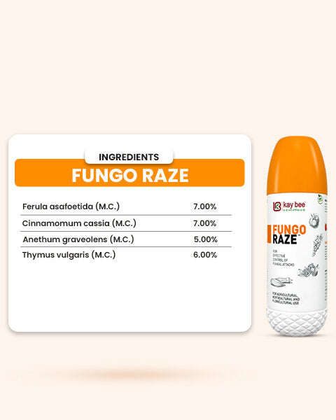 Fungo Raze botanical ingredients chart showing percentages of Ferula asafoetida, Cinnamomum cassia, and other extracts.