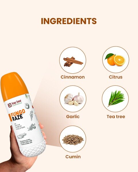 Fungo Raze ingredients graphic showing cinnamon, citrus, garlic, tea tree, and cumin next to the product bottle.