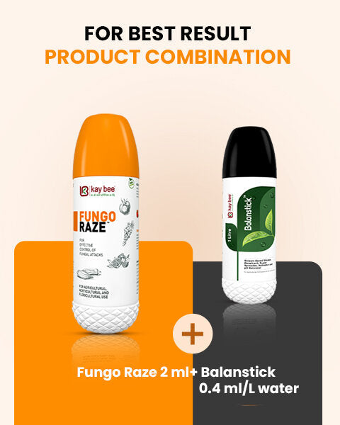 Fungo Raze and Balanstick product combination graphic showing recommended mixing dosages per liter of water.