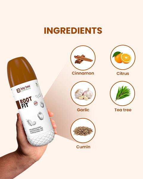 Kay Bee Root Fit bottle held in hand with icons detailing natural ingredients: cinnamon, citrus, garlic, tea tree, and cumin.