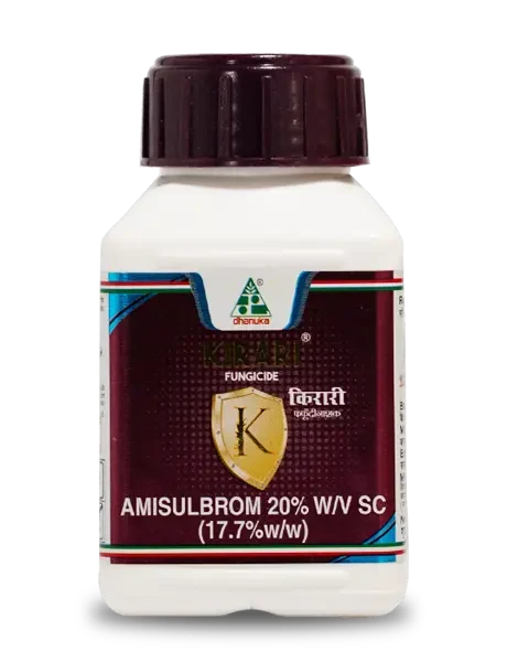 Dhanuka Kirari Fungicide bottle contains Amisulbrom 20% SC.