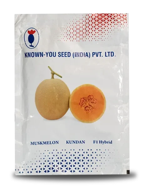 Known-You Seed Kundan F1 Hybrid Muskmelon seeds. High-quality orange-fleshed cantaloupe variety for commercial and home gardening.