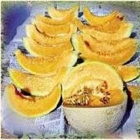 Sliced Kundan F1 Hybrid Muskmelon on display. High-quality cantaloupe with thick orange flesh and sweet aroma, ideal for fresh consumption.