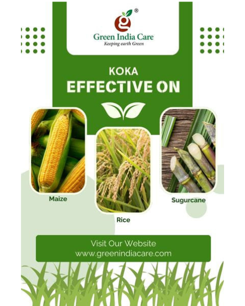 KOKA Insecticide