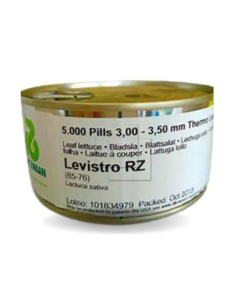 LEVISTRO RZ (85-76) | LETTUCE