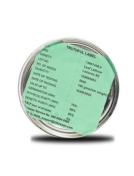 LOCARNO RZ (85-81) LEAF LETTUCE