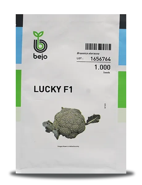 LUCKY BROCCOLI SEEDS
