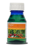Magister Insecticide