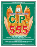 MAIZE-CP-555