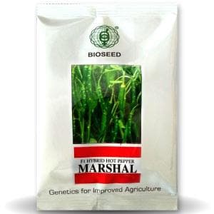 MARSHAL CHILLI