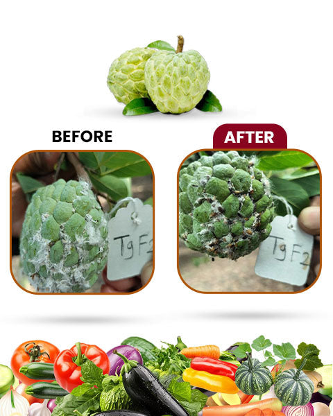 Mealy Raze Bio Pesticide