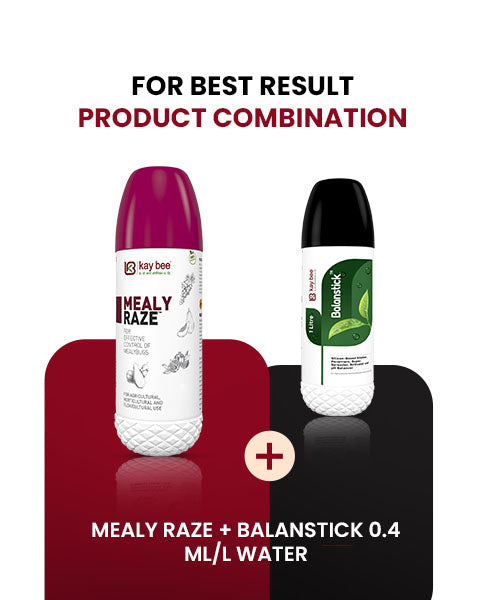 Mealy Raze Bio Pesticide