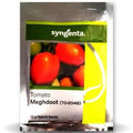 TO-2048 (MEGHDOOT) TOMATO