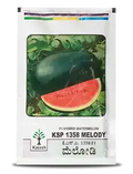 MELODY F1 WATERMELON (KSP 1358)