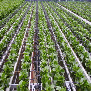 MIPATEX DRIP IRRIGATION PIPE - ONLINE