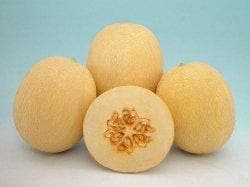 MRIDULA MUSKMELON