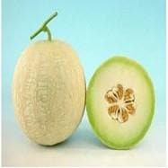 Image showing a musk melon grown from  Known-You Muskan musk melon seed.