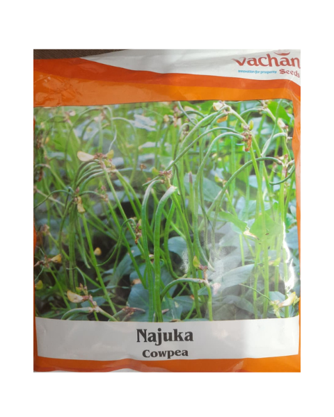 Najuka Cowpea