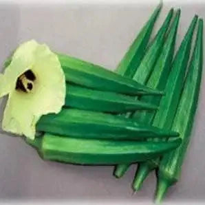 Fresh green okra pods stacked together with a pale yellow okra flower blooming on the left side against a gray background.