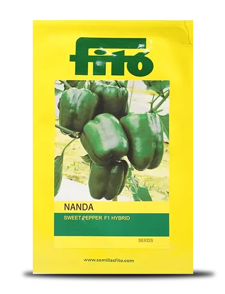 NANDA CAPSICUM