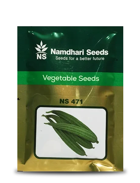 NS 471 F1 Hybrid Ridge Gourd Seeds