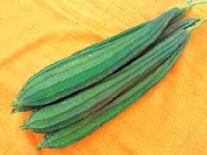 NS 471 F1 Hybrid Ridge Gourd Seeds