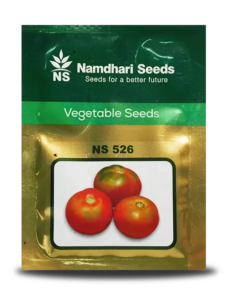 NS 526 F1 Hybrid Tomato Seeds