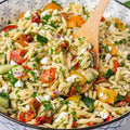 Orzo Salad: Roasted Peppers, Tomatoes, Spinach, Feta, Kallamata Olives and Vinaigrette